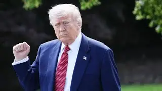 Trump's Deportation Scandal: How ICE Targeted a US Veteran's Daughter