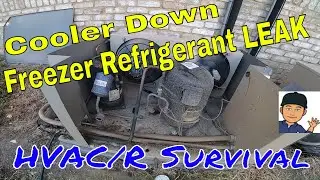 Walk-In Cooler Warm, Walk-In Freezer Leaking Refrigerant