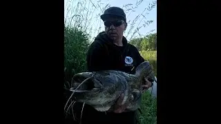 Lipcowe Sumy z Warty! podwodny spławik,Chlapak,Sumy Stacjonarnie|BROLLY MADCAT