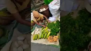 Tribal market in Northeast India 💚