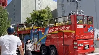 4K Japan Walk Tokyo Tower 東京タワー 2024 Zojoji Temple 増上寺 （東京タワーから増上寺）