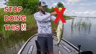 STOP 🤚🏼🛑 Making this Culling Mistake!! Save Time and Money Next Tournament
