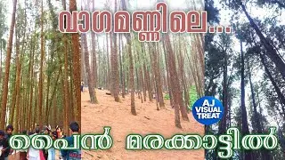 Vagamon Pine Forest | Awesome Movie Location | Pine Valley Road | Vedikuzhi, Kolahalamedu