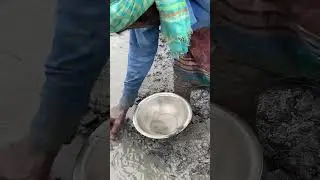Amazing small fish method by hands #fish #handfish #fishingmethods #villagepond #smallfish