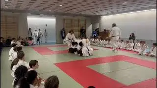 Gecko Sauteur - F&ecirc;te de No&euml;l 2024