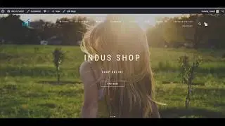 ShopIsle E-commerce WordPress Free Theme