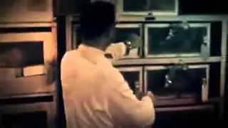 про ЛСД 25