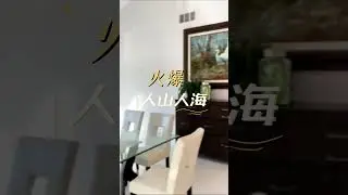 蒙市山顶豪宅，开放日现场出乎意料