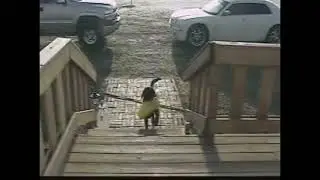 Ace hendrix the dog 2008