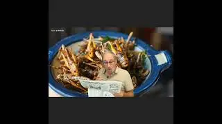 Manger des insectes ?   #humour #gag #comique #sketch