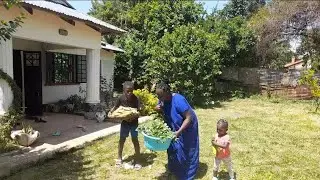 SIMPLE LIVING  🥬FARM HARVEST & PRESERVING VEGETABLES  With No FRIDGE: //  Life In The Countryside 