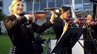Coplas Tropicales - Mariachi Champaña de Jeff Nevins
