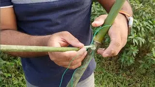 Primitive Way To Catch A Bird ✔️How To Install Bird Trap For Hunting