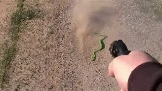 Ruger LCR .22 LR VS Snake.