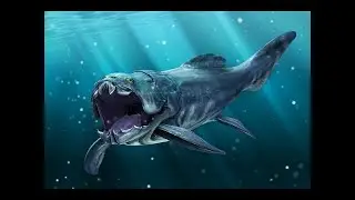 Ancient Sea Creatures  and Ocean Monsters Documentary HD