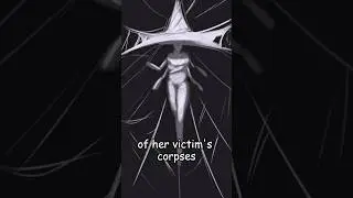 spider witch