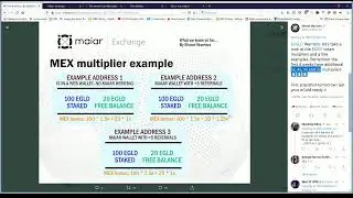 Tikapo part en live ! | Discussion autour du token #MEX !