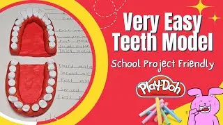 Очень простая модель зубов с использованием пластилина Play-Doh и мела