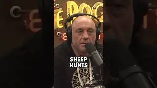 Cliff and Joe Rogan TALK MOUNTAIN GOAT Hunting #Shorts