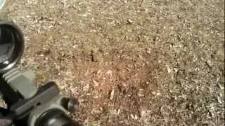 G&P M4