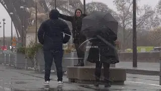 First snowfall of the season turns Paris region into mesmerising winter wonderland