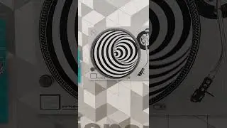 museum of illusion New Delhi cannot place #museum #museumonline