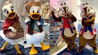 Donald, Daisy, Chip & Dale During Pirate Night on the Disney Wish Cruise (From August 2022)
