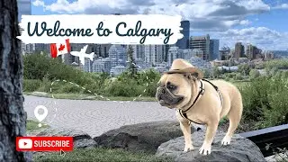 Crossing the Border Exploring Calgary, Canada! FINAL VIDEO