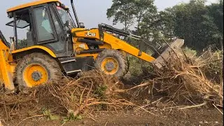 big bulldozer clearing trees | JCB Machines Are Pulling Out Tree Roots