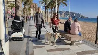 BENIDORM 🇪🇸 LEVANTE BEACH UPDATES JANUARY 2022 COSTA BLANCA SPAIN WALKING TOUR [4K]
