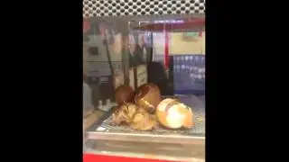 Chicken hatches live on webcam