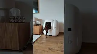 PETKIT PUROBOT MAX PRO #petkit #petproducts #pettech #litterbox #purobotmaxpro