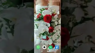 Best earning App   //. Helo//. Mini joy lite // big cash