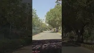 Pakistan Travel Series: Driving around town