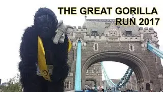 IAN REDMOND WALKS 8KM ON HIS KNUCKLES FOR GORILLAS