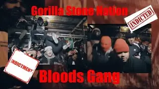 A Leader Of Gorilla Stone Bloods Sentenced To 35 Years In Prison | #crime #news