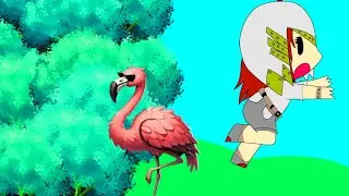 Solvendras Starter guide Ft.Fruupi