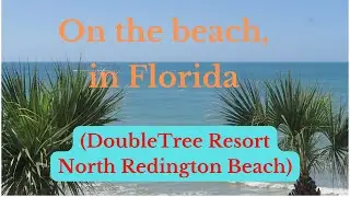 On the beach, in Florida (DoubleTree Hilton resort North Redington Beach review, March 2022)