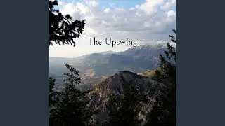 The Upswing