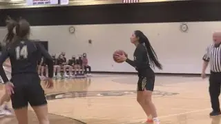 WDA Basketball