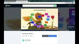Prezi kullanımı