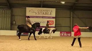 Showing Secrets 1 with The Showing Register - Your Horse Live 2018