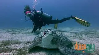 Underwater Life of Kas with Dragoman!