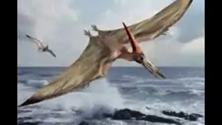 Prastary Dziadek Mały Pterodaktyl