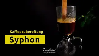 Kaffee Syphon - Zubereitung, Tipps und Tricks
