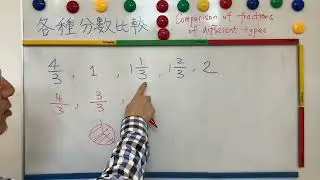粵教數|小四|分數(二)|各種同分母分數的比較