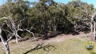 B & K large-scale bush regeneration capability