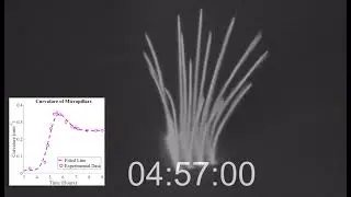 3D printing near net shape parts with no post-processing