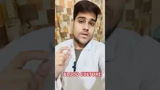 Blood Culture Simplified🩸✅ #test #microbiology #lab #daily #ytshorts