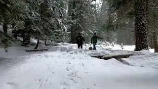 PSH3 and RCH3 Snowshoe Run 2026